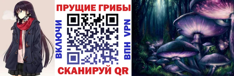 Псилоцибиновые грибы Magic Shrooms  KRAKEN зеркало  Камешково  даркнет сайт 