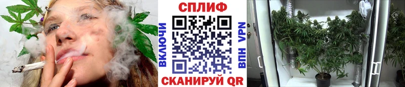 МАРИХУАНА планчик  где купить   мега как зайти  Камешково 